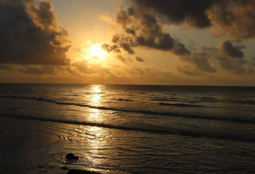 پانسیون Kivuli Villas Diani