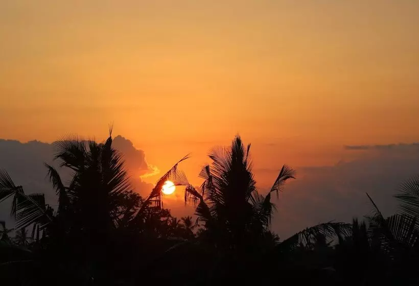 پانسیون Kivuli Villas Diani