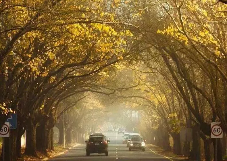 Stables Boutique Motel