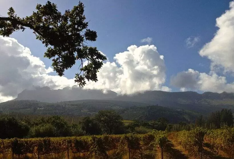 Calais Wine Estate
