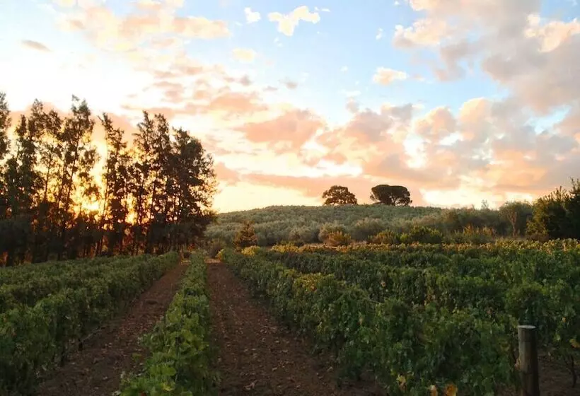 Calais Wine Estate