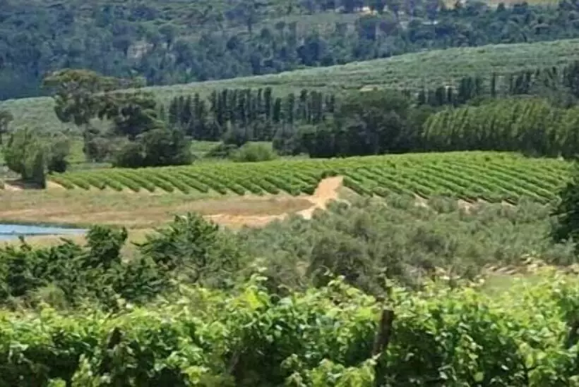 Calais Wine Estate