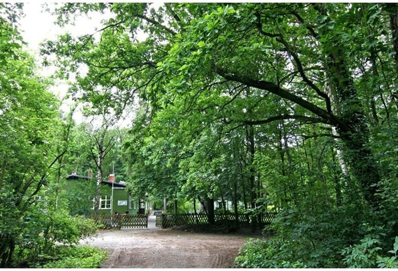 Jetpak Ecolodge   Hostel