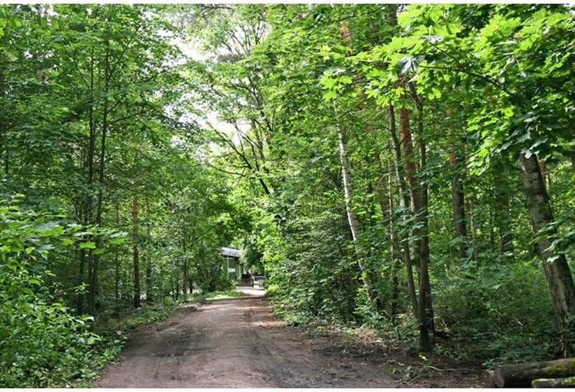 Jetpak Ecolodge   Hostel