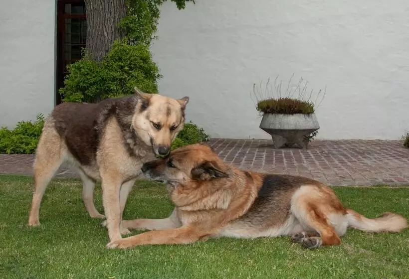 La Galinière Guest Cottages