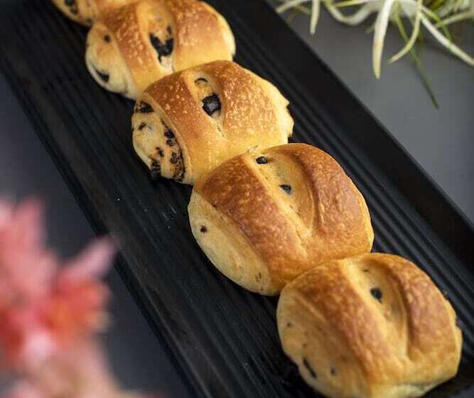 Nest Luxury Hotel And Resorts