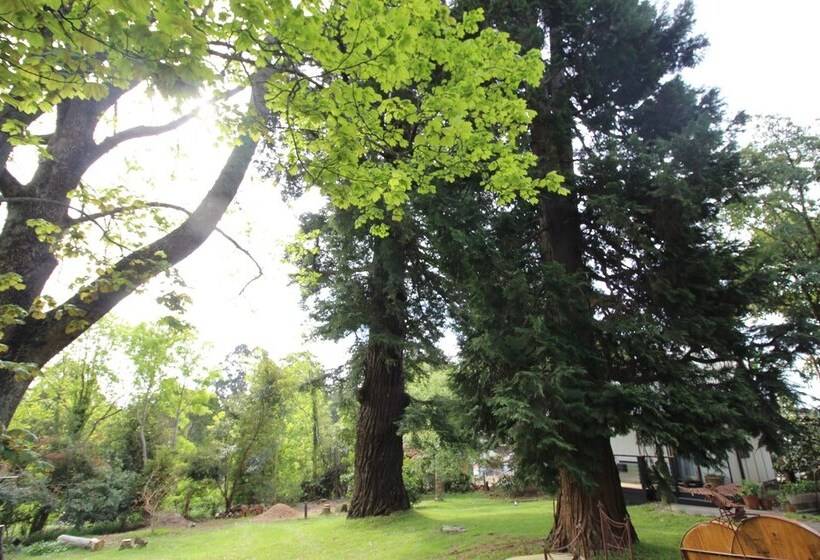 Olinda Country Cottages