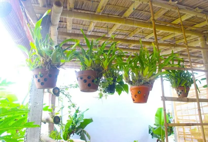 پانسیون Ba's Garden Beachside Homestay
