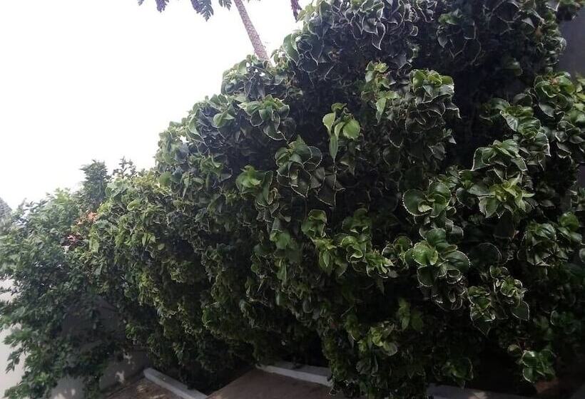 膳宿费 Green Glass Guest House