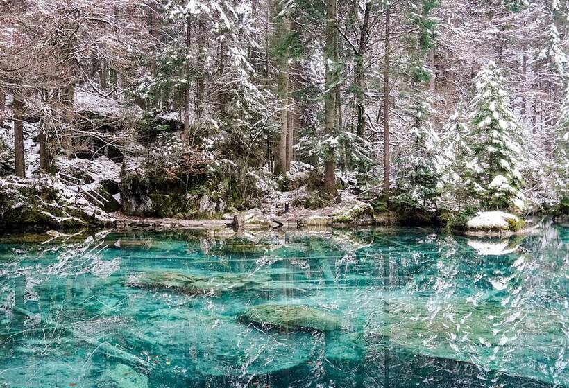 ホテル Digital Brünig Lodge 24 7