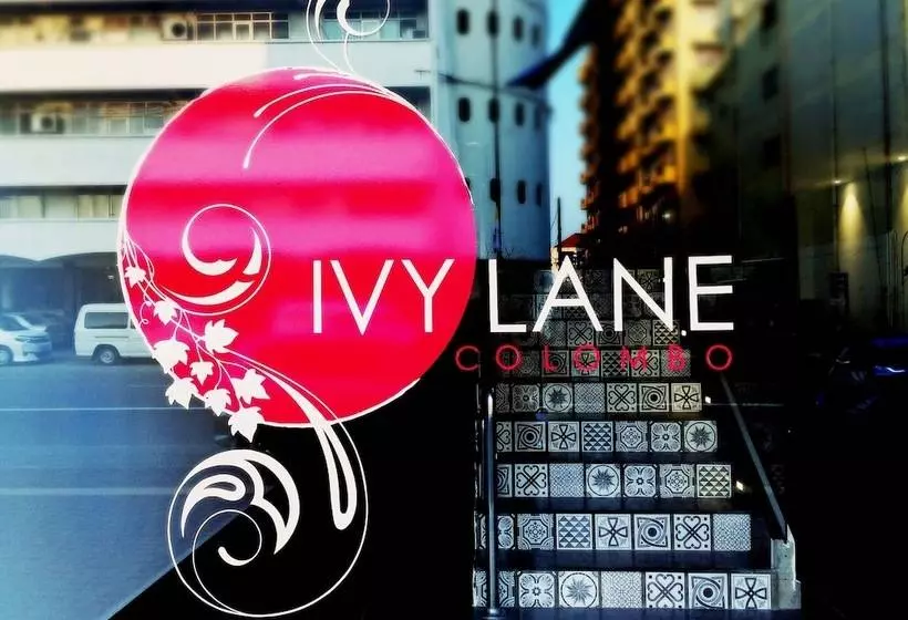 住宿加早餐  Ivy Lane  Colombo