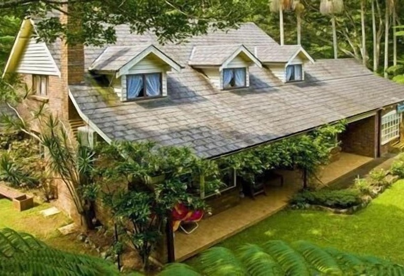 Curtis Falls Apartment