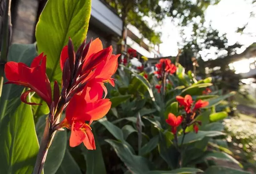 Heri Heights Hotel Apartments, Surestay Collection By Best Western