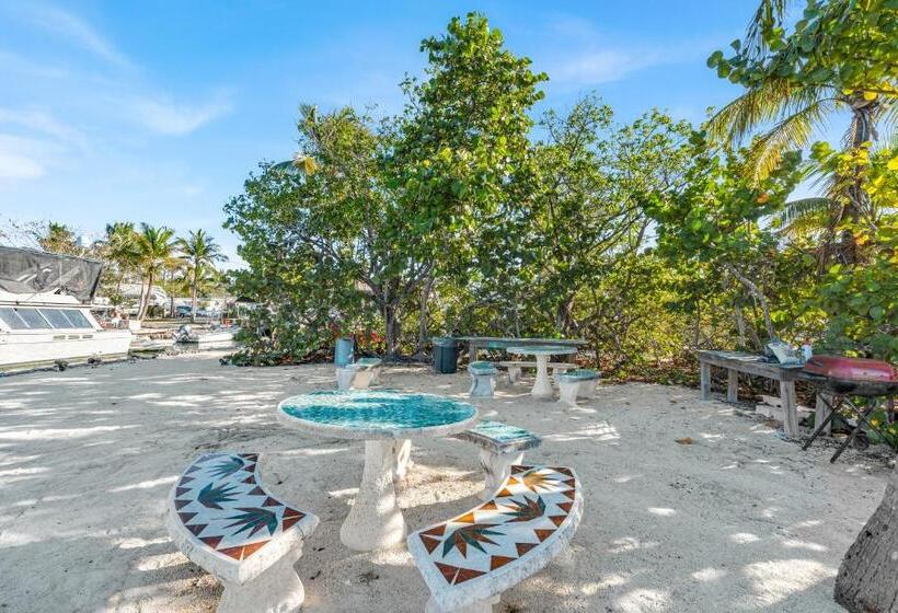 בית מלון כפרי Blackfin Resort And Marina