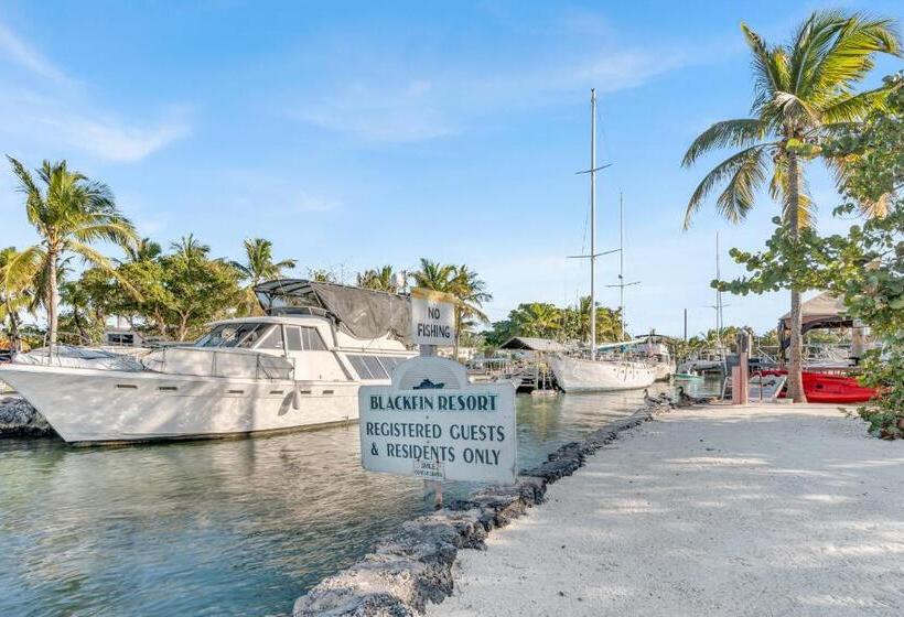 בית מלון כפרי Blackfin Resort And Marina