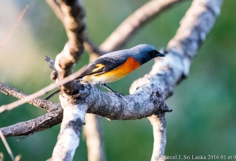 فندق Blue Turtle