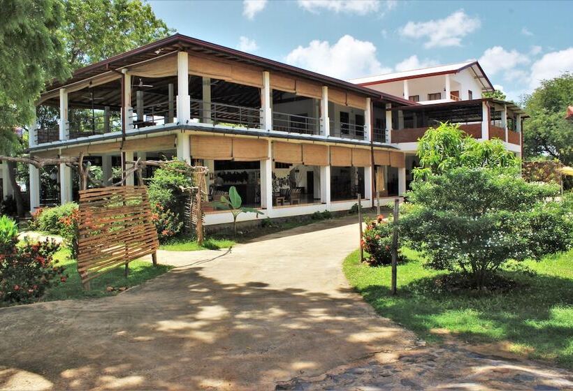 فندق Blue Turtle