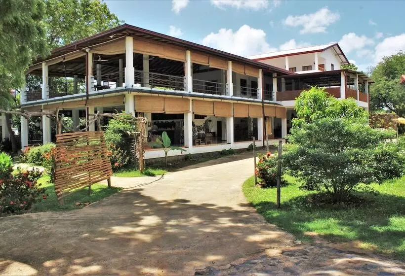 فندق Blue Turtle