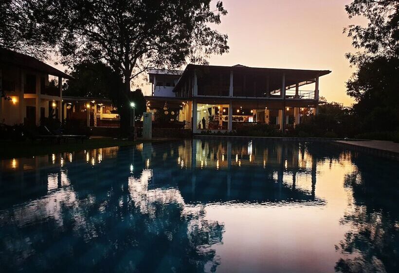 فندق Blue Turtle