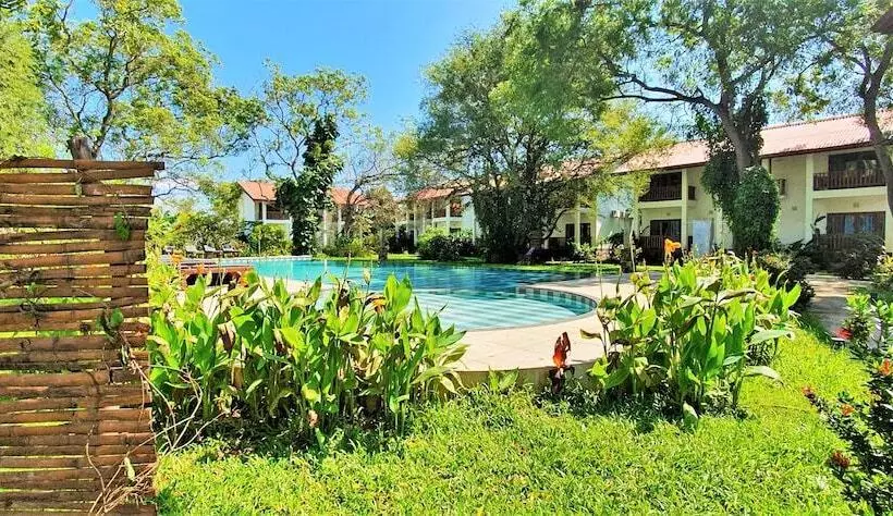 فندق Blue Turtle