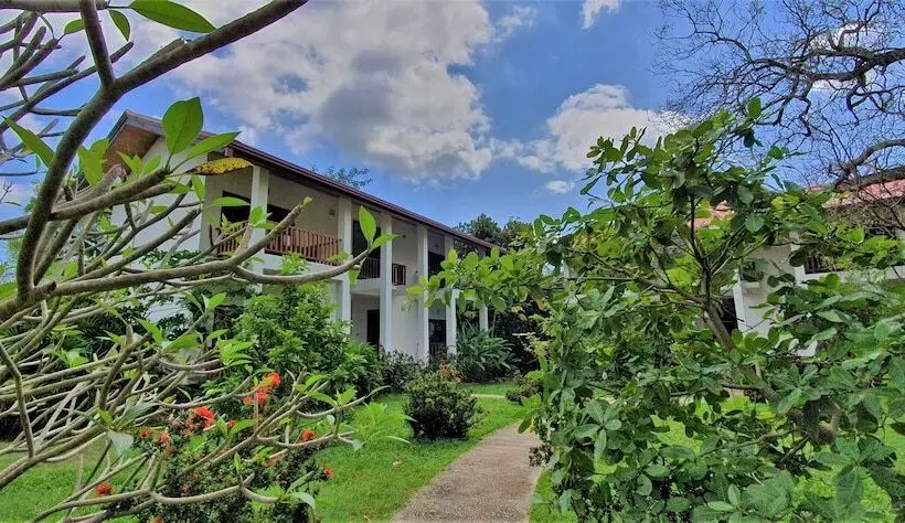 فندق Blue Turtle