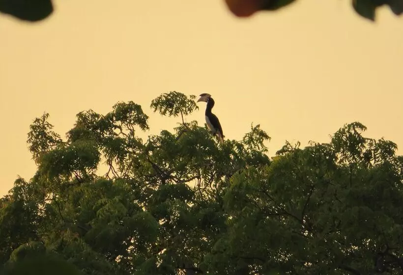 فندق Blue Turtle