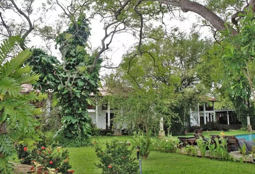 فندق Blue Turtle