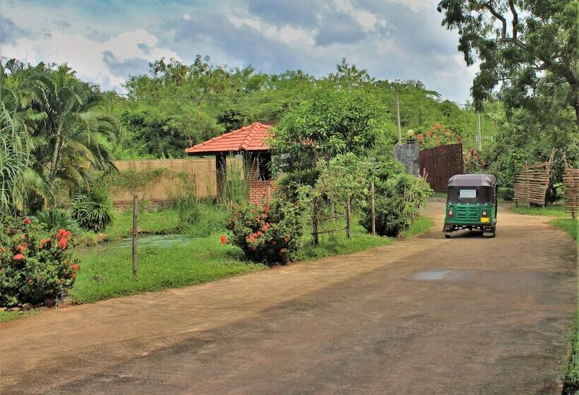 فندق Blue Turtle