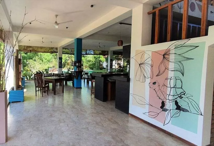 فندق Blue Turtle