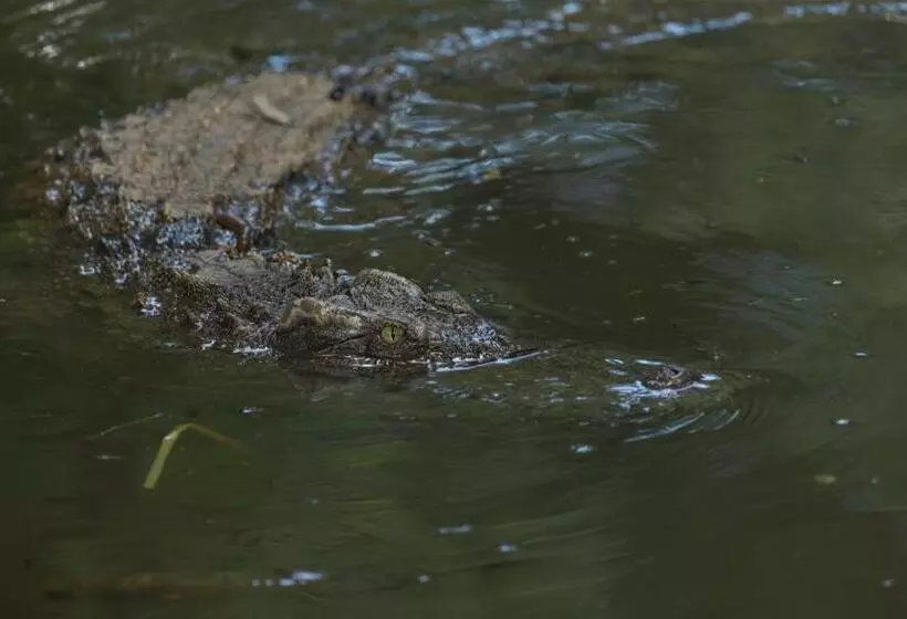 호텔 Galleria Davao