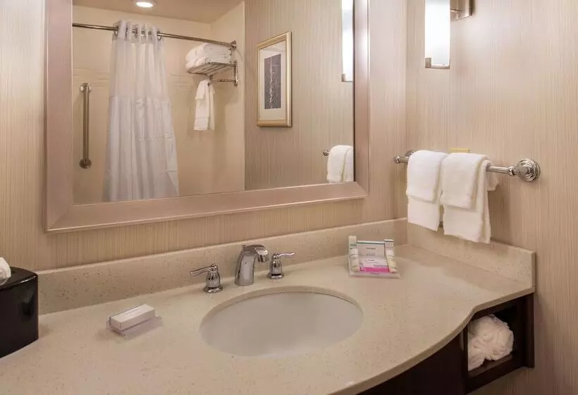 ホテル Hilton Garden Inn Bristol