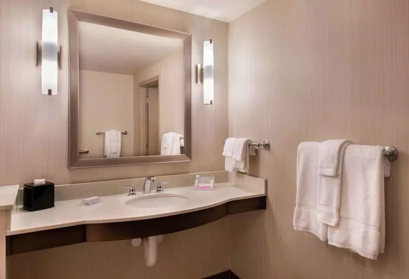 ホテル Hilton Garden Inn Bristol