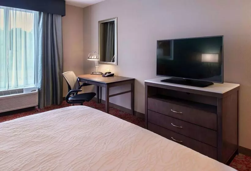 ホテル Hilton Garden Inn Bristol