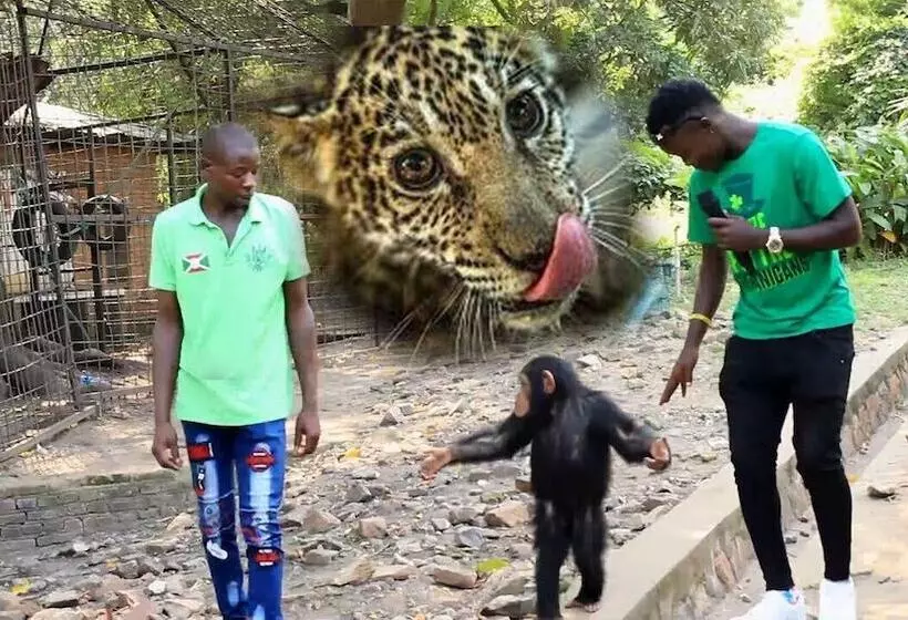 هتل King's Conference Centre