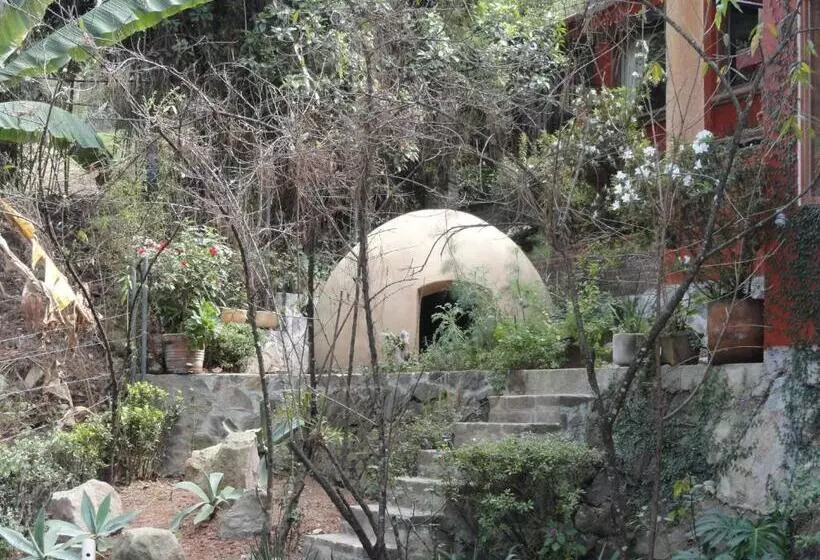 בית מלון כפרי La Casa Del Rio