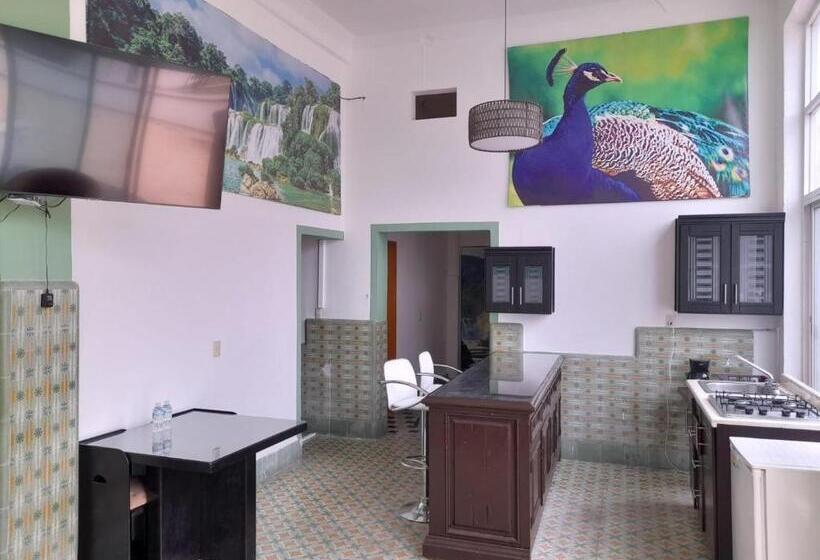 فندق Loft Canarios