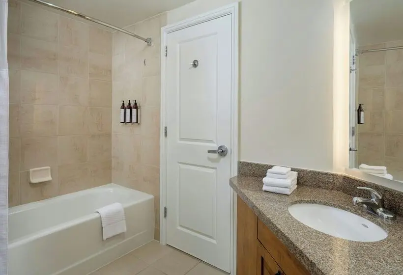 ホテル Marriott S Streamside Evergreen At Vail