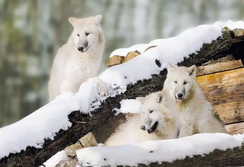 호텔 Natur Resort Tripsdrill