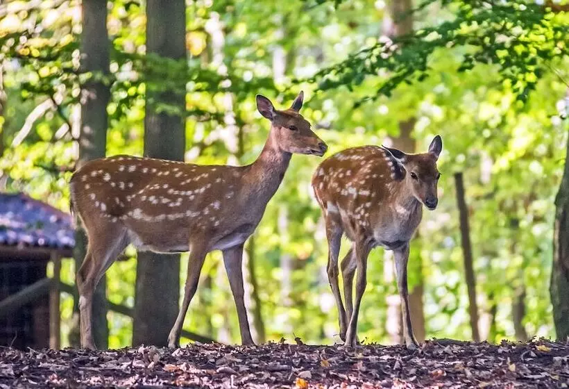 호텔 Natur Resort Tripsdrill