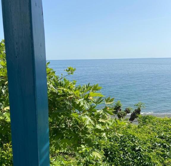 酒店 Samothraki Beach Apartments And Suites