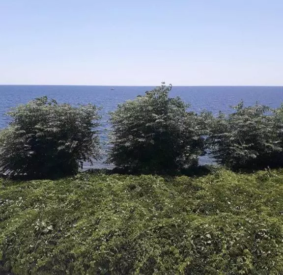 Hotel Samothraki Beach Apartments And Suites