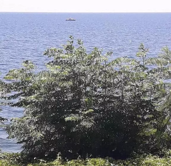 Hotel Samothraki Beach Apartments And Suites