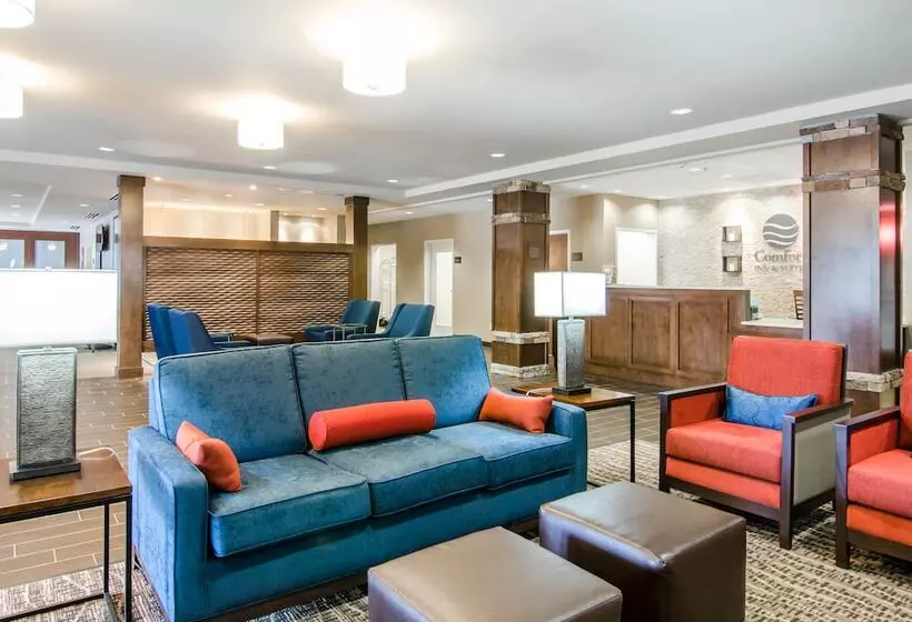 בית מלון כפרי Comfort Inn & Suites Lynchburg Airport University Area