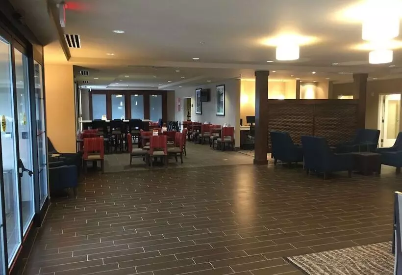 בית מלון כפרי Comfort Inn & Suites Lynchburg Airport University Area