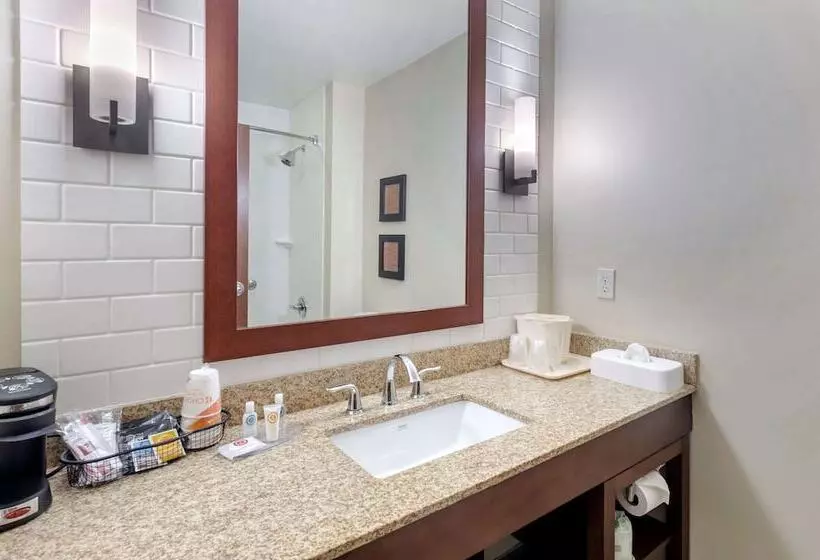 בית מלון כפרי Comfort Inn & Suites Lynchburg Airport University Area