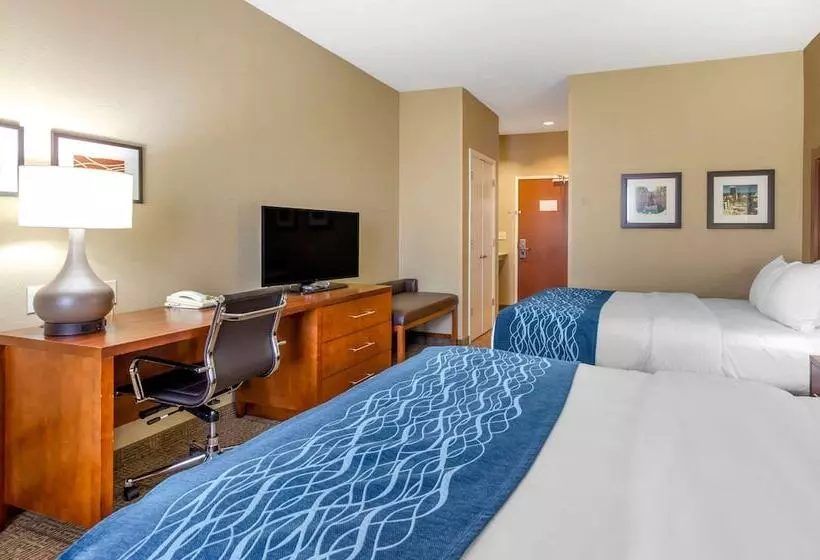 בית מלון כפרי Comfort Inn & Suites Lynchburg Airport University Area