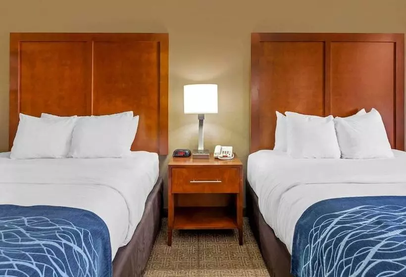 בית מלון כפרי Comfort Inn & Suites Lynchburg Airport University Area