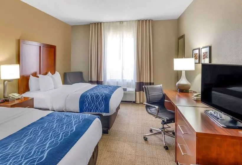 בית מלון כפרי Comfort Inn & Suites Lynchburg Airport University Area