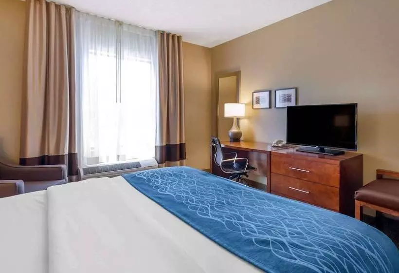 בית מלון כפרי Comfort Inn & Suites Lynchburg Airport University Area