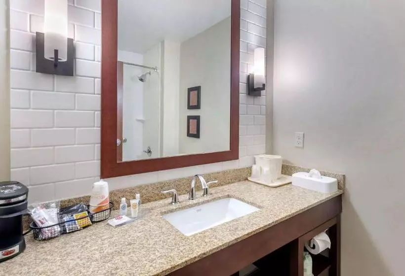 בית מלון כפרי Comfort Inn & Suites Lynchburg Airport University Area